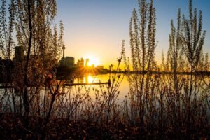 Sunset over cityscape with tower, silhouetted trees, and water reflection in foreground.