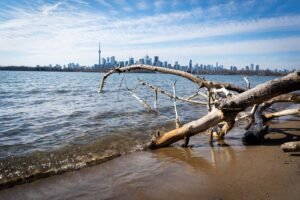 Sandy shoreline with driftwood, distant city skyline, prominent tower, and partly cloudy sky.