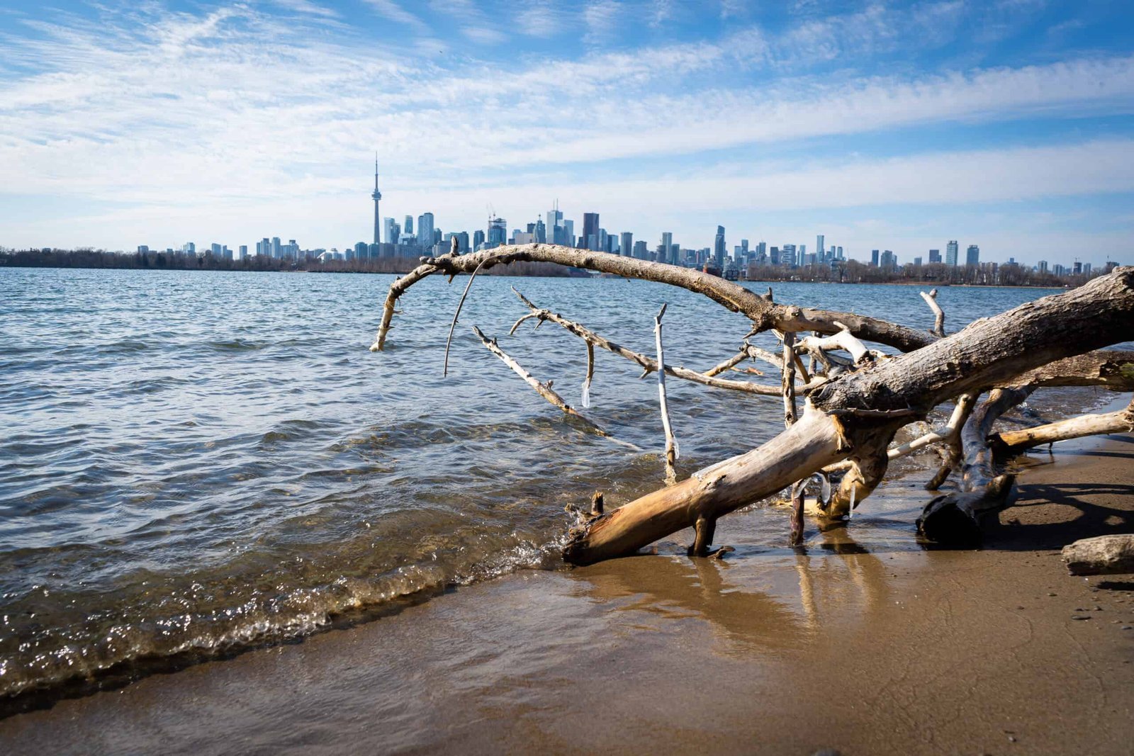 Social Distancing at Tommy Thompson Park