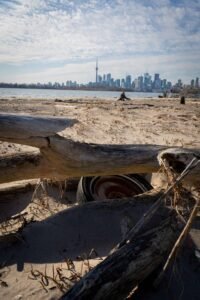 Sandy beach with driftwood, debris, water, city skyline, and tower under partly cloudy sky.