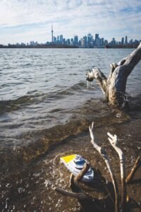 Model cruise ship on shoreline with driftwood, cityscape and tower in background under cloudy sky.