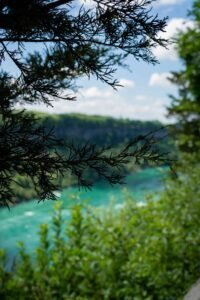 Silhouetted tree branches with green foliage and turquoise water under a cloudy sky.