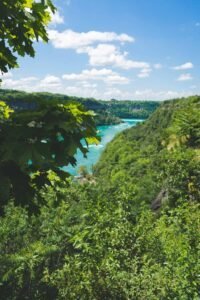 River through lush forested landscape under clear sky, framed by green leaves.