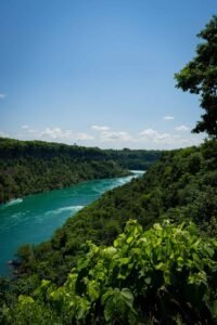 Wide turquoise river flows through lush green forest under clear blue sky.