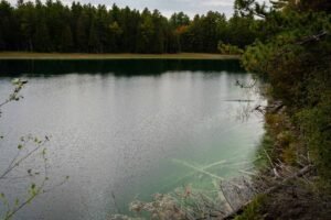 Lake with calm water, surrounded by dense forest and visible submerged branches near shore.