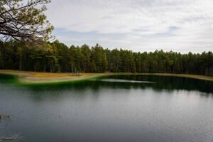 Tranquil lake with dense evergreen trees and cloudy sky reflections on calm water.