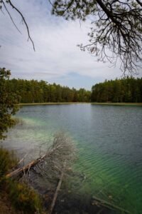 Lake with clear water, surrounded by forest, fallen tree partially submerged, cloudy sky.