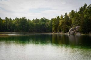 Calm water reflects pine trees and rocky shoreline under a cloudy sky.