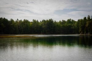 Calm lake with a reflective surface bordered by tall trees under a cloudy sky.