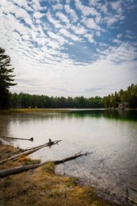 A calm lake reflects the sky, surrounded by a forest with logs on the sandy shore.